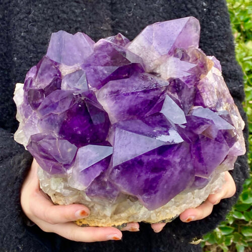 16.64LB Natural Amethyst Backbone Crystal Raw Ore Specimen Stone Healing - Zdjęcie 10 z 12