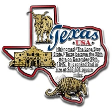 Texas Information State Magnet by Classic Magnets, 3.1" x 2.9"