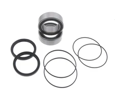 1999 - 2008 Honda TRX400EX Rear Dual Row Carrier Bearings and Seals Kit