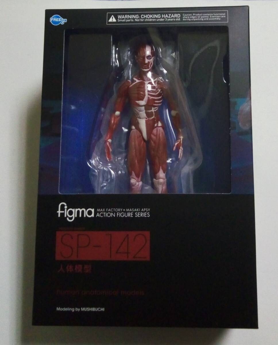 未開封 figma 人体模型 Amazon.co.jp: figma 人体模型 ノンスケール ABS&PVC製 塗装済み
