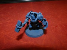 Warhammer 40k: Space Marines: Terminator with Thunder Hammer and Storm Shield i