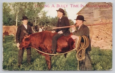 Having A Bully Time In Minneapolis Minnesota Postcard