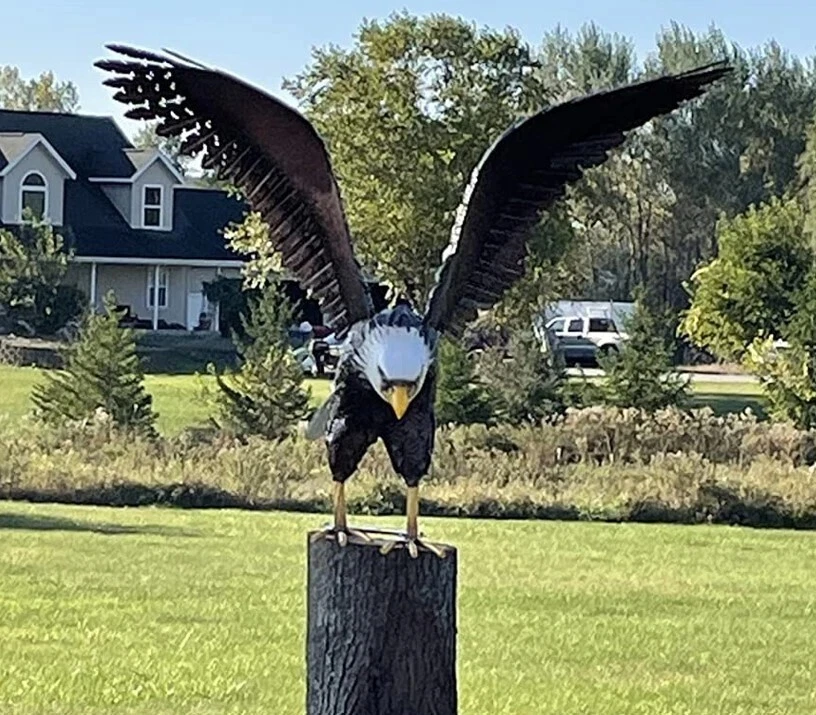 American Bald Eagle Large Outdoor Metal Statue Lawn Sculpture Garden Yard Art - Image 3 of 4