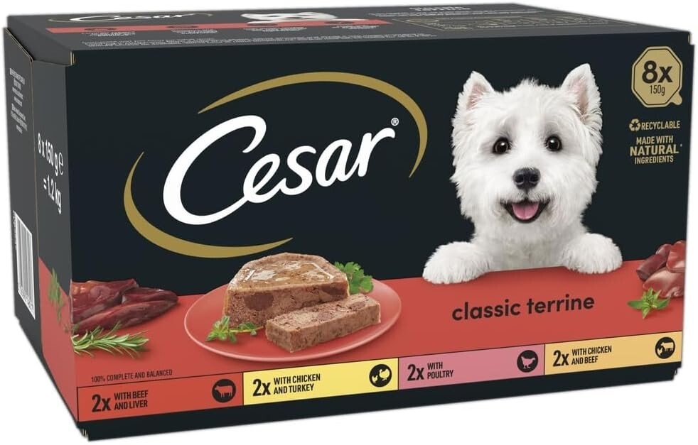 Cesar Adult Wet Dog Food 3x8x150g Classic Terrine in Jelly 24 Food Trays