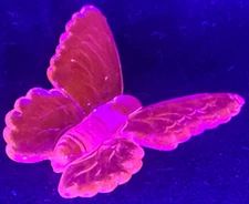 Green Vaseline glass butterfly insect monarch glow moth animal uranium selenium