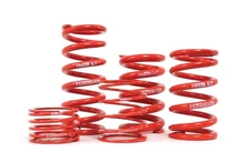 H&R Special Springs LP ID Race Springs