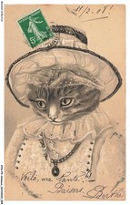 مستلزمات الحيوانات — AYNP9-0810-CHAT - Costume de chat
