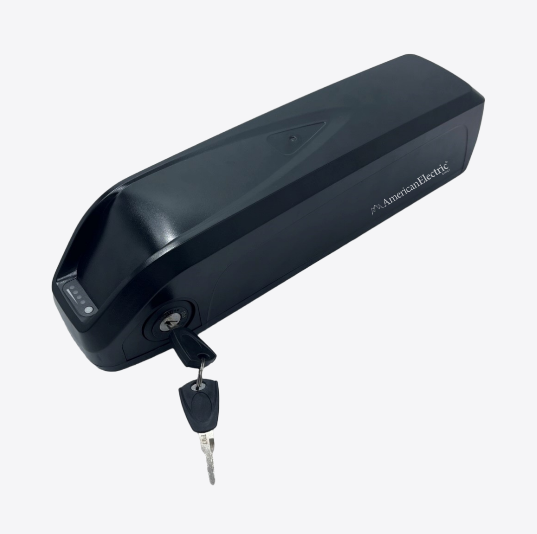 Rad Power Rad Runner Battery Pack 48V  14AH LG Cells - Made in America | AE