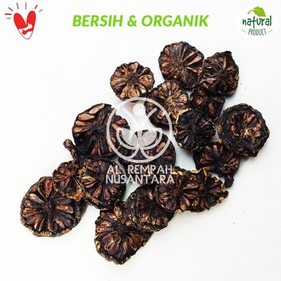 Fruit Mengkudu Pace 1000g - Botanical - Traditional Herb - Dried Plant Aromatic