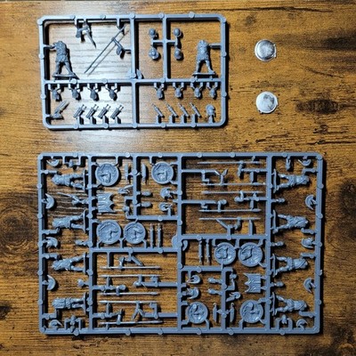28mm Warlord Games Spartan Hoplites - Spartanische Hopliten