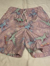 Boys Cat And Jack Swim Trunks Dinosaur Print  Medium Size 8
