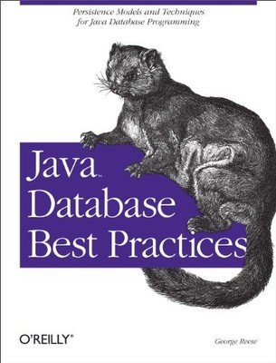 Java Database Best Practices, Reese, George