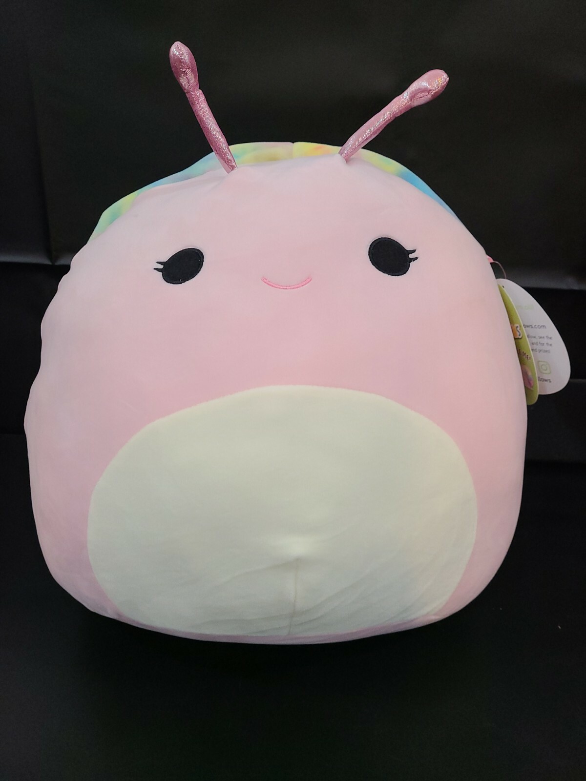 snail squishmallow costco