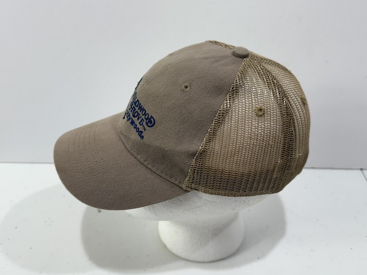 Dollywood Theme Park Snapback Hat White Navy Blue Embroidered Cotton Cap Vintage Dolly Parton Baseball Cap – Nashville Dollys main image 3