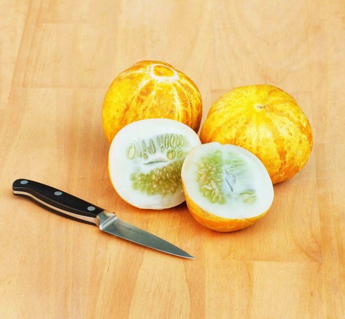 Lemon Cucumber - 5+ seeds - FINE and BEAUTIFUL! Cu 016 - Picture 1 of 2