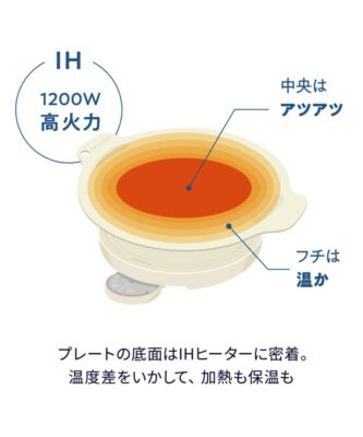 Recolte Tabletop IH Heater Cooking Griddle Plate RIH-1 AC100V