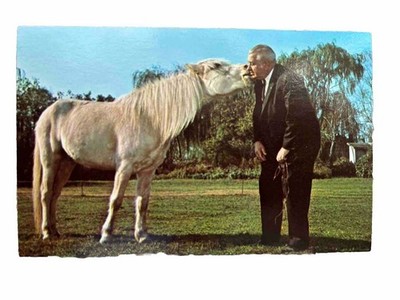 Postcard Cloudy is Kissing Mr. Ed Chincoteague Miniature Pony Farm Virginia
