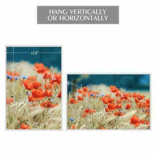 Set of 2 12x18 Aluminum Metal Poster Picture Frame Collection Sawtooth Hangers - Picture 1 of 8