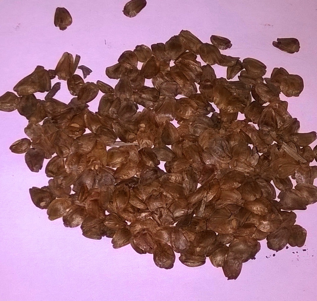 Picture 1 of 2
