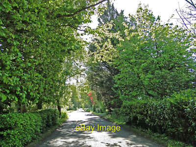 Foto 12x8 Grün in vielen Farben bei Cranley Manor Eye c2019