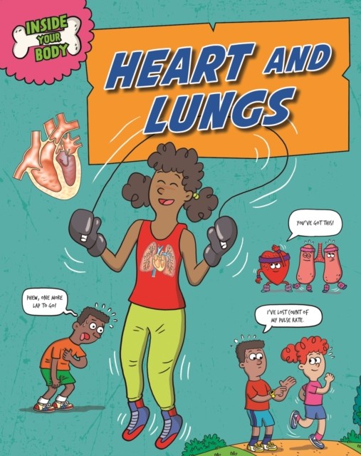 Inside Your Body: Heart and Lungs by Andrew Solway (Paperback Book)