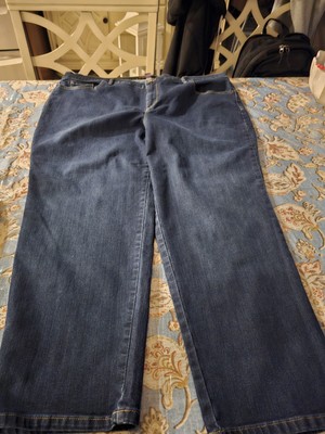 gloria vanderbilt amanda jeans Size 22 (Length Inseam Is 27)