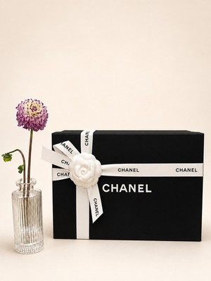 *RARE* Chanel Slingbacks - MÉTIERS D ART 2026 Black « Apple Heel » (New In Box)