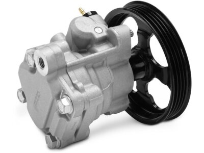 mspベジット Steering Stem Spanner Nut Socket - Kawasaki, 3/8