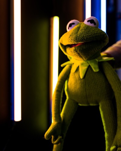 kermit the frog puppet / hand puppet - Picture 5 of 5