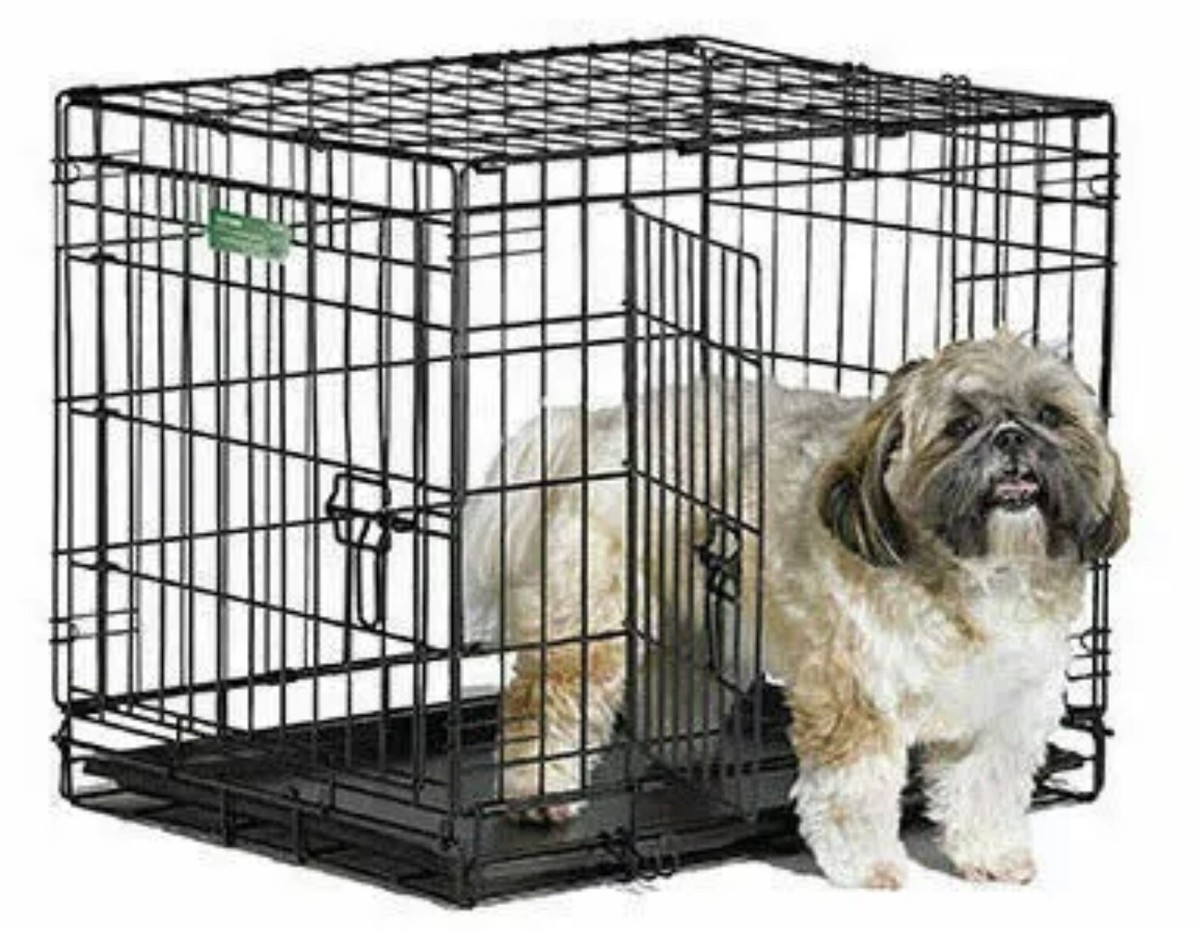 Midwest iCrate 1524DD Double Door Folding Dog Pet Crate I-1524DD