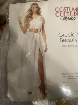 white gold grecian dress Greek Goddess Costume, Gold Trim Toga Dress, Laurel Crown