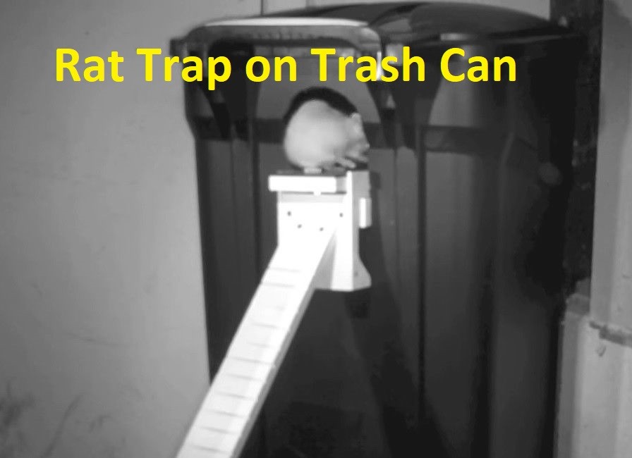 Bucket Rat Trap Walk The Plank Auto-Reset Rat And Squirrel Trap - Plastic, Humane Design, Made In USA Walk The Plank Mouse Trap - Foto 8