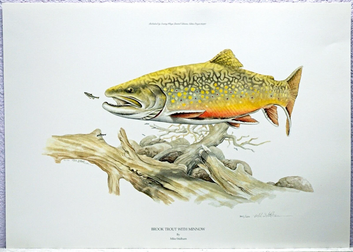 ANGLING 原画 オリジナル 一点もの Fishing Signed Art Prints for