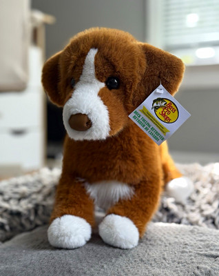 Douglas Nova Scotia Duck Tolling Retriever BassPro Shops Exclusive Stand Plush