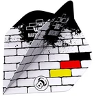 Bull's B-Star Flights Martin Schindler Brass A-Standard White Black