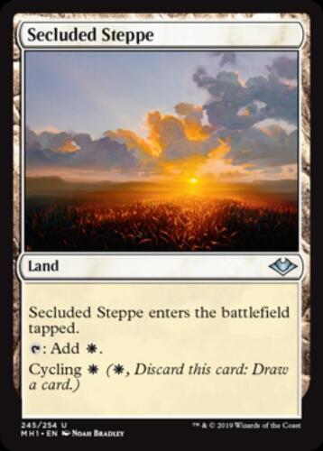 Secluded Steppe - Light Play English MTG Modern Horizons - Picture 1 of 1