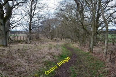 Photo 6x4 St Cuthbert's Way near Lilliard's Edge Maxton/NT6130 The route c2014
