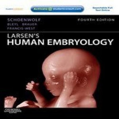 Larsen's Human Embryology by Gary C. Schoenwolf Paperback