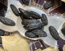Tonka Beans, Manifest Desires, Love, Money, Aphrodisiac, Witchcraft, Pagan