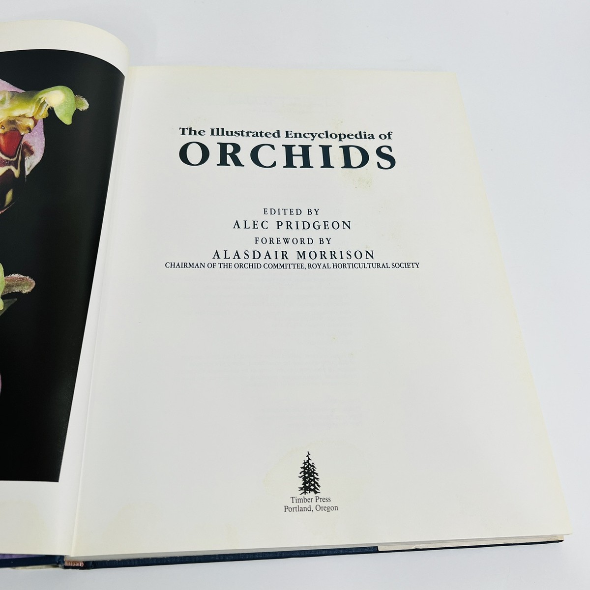 『ORCHIDS』ALEC PRIDGEON The Illustrated Encyclopedia of Orchids: Pridgeon, Alec