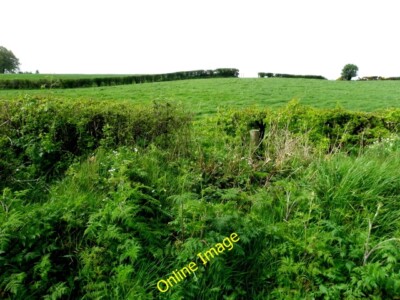 Photo 6x4 Muntober Townland Drumshanbo/H7378 Looking south-west c2014
