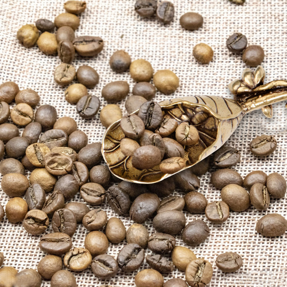 Loose Tea Spoon Matcha Scoop Metal Tea Coffee Salt Scoop Loose Tea