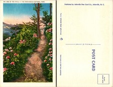 Trail View Shenandoah National Park Virginia VA Postcard