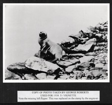 Falkland Islands. 1938. Copy of photograph used in vingette for  5s value.