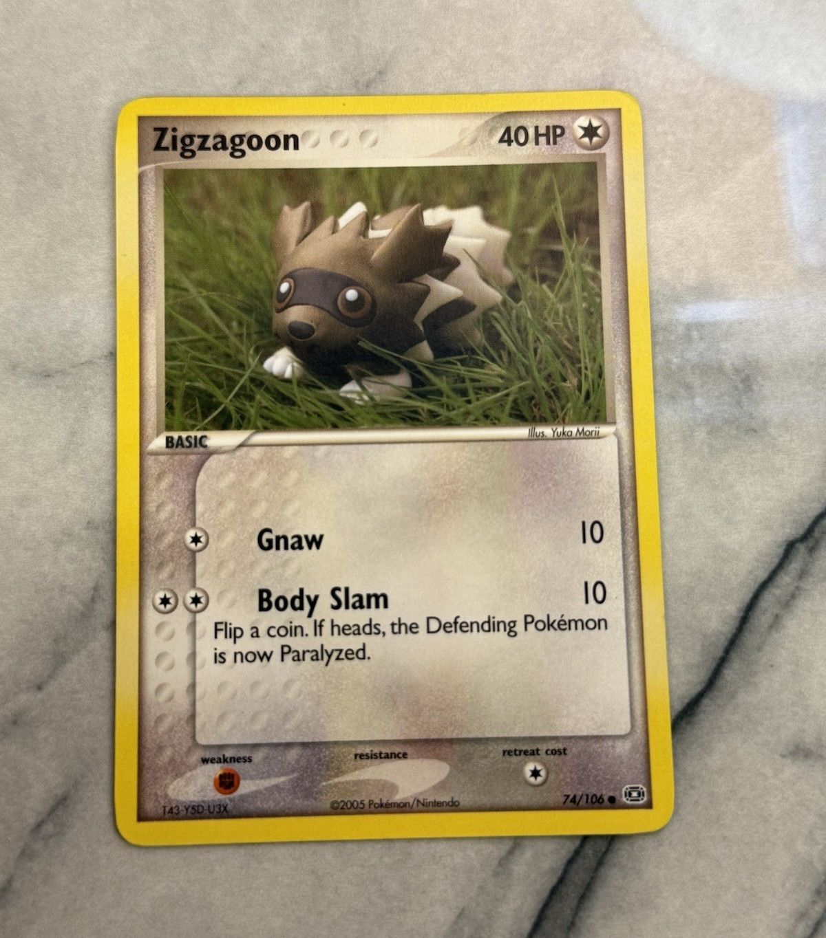 Zigzagoon 74/106 EX Emerald 2005 Yuka Morii (non-holo)