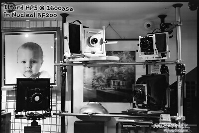 Ilford HP5+ Single 120 Roll Freshest UK Stock 19498629013 UK - Main Image