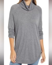 Caslon Turtleneck Tunic Sweater
