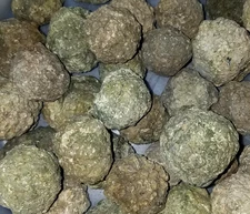 (1-LB LOT)=(17 to 20 Uncut Rough Oregon Thundereggs) Lapidary Agate Rocks Geode