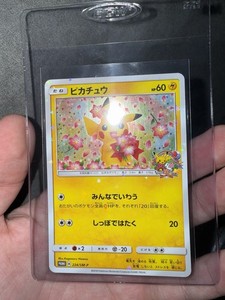 Pikachu 224 Sm P | eBay