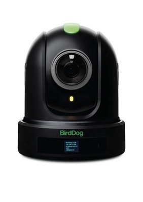 BirdDog P120 Black Full NDI PTZ 1080p Camera